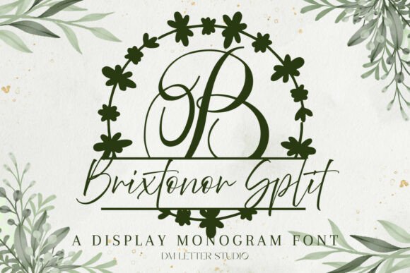 Brixtonor Split Monogram Font for Campaign Design